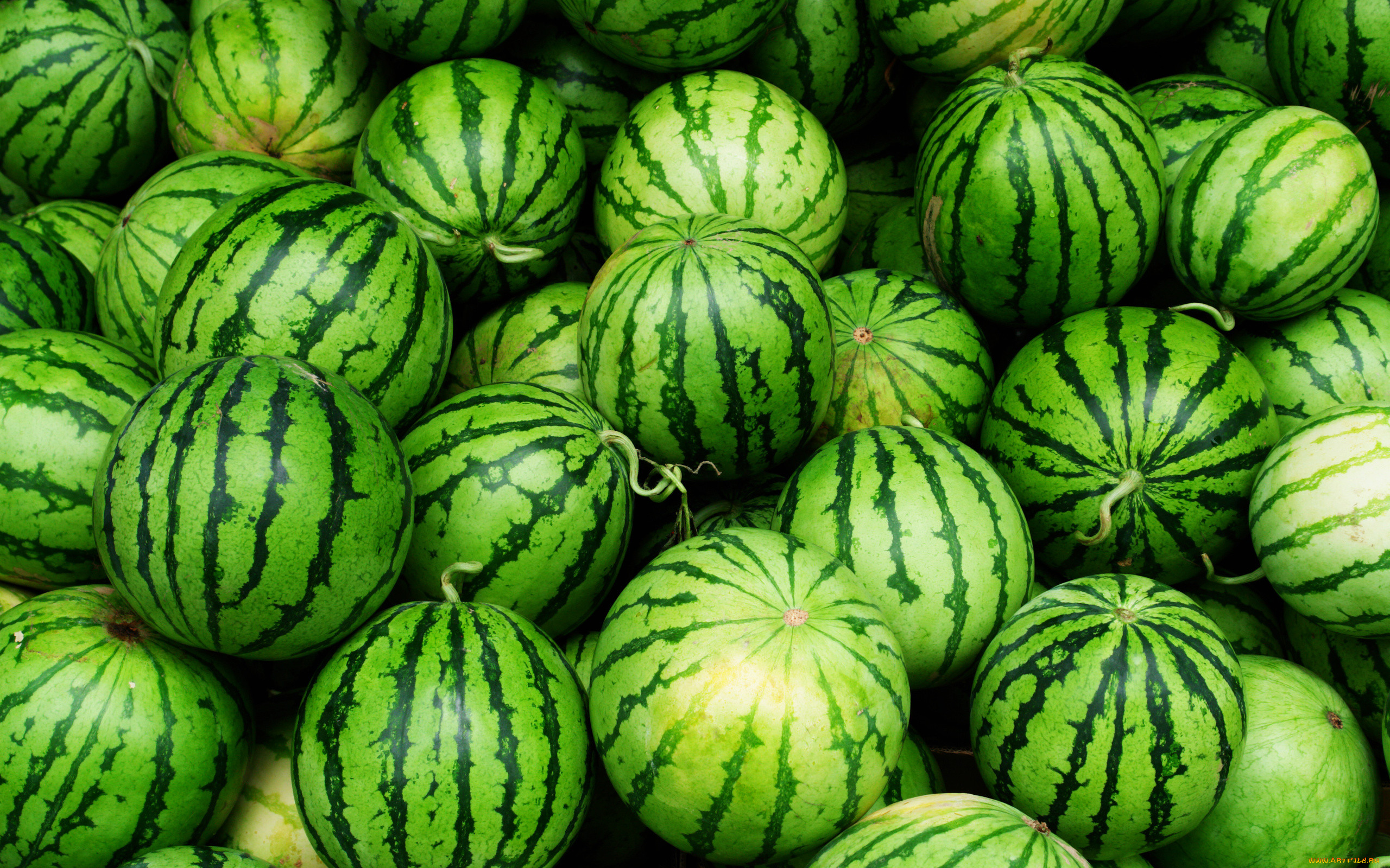 , , , green, fruit, watermelon